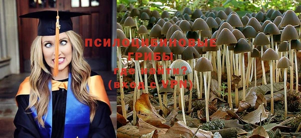 МДПВ Арсеньев