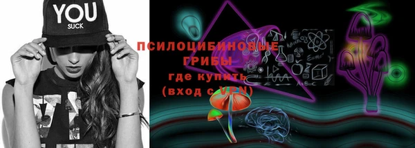 ПСИЛОЦИБИНОВЫЕ ГРИБЫ Алзамай