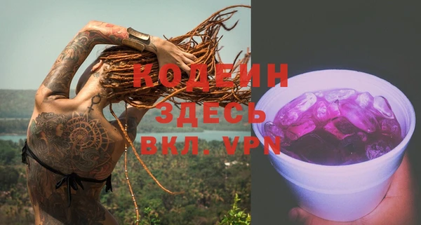 дурь Алексин